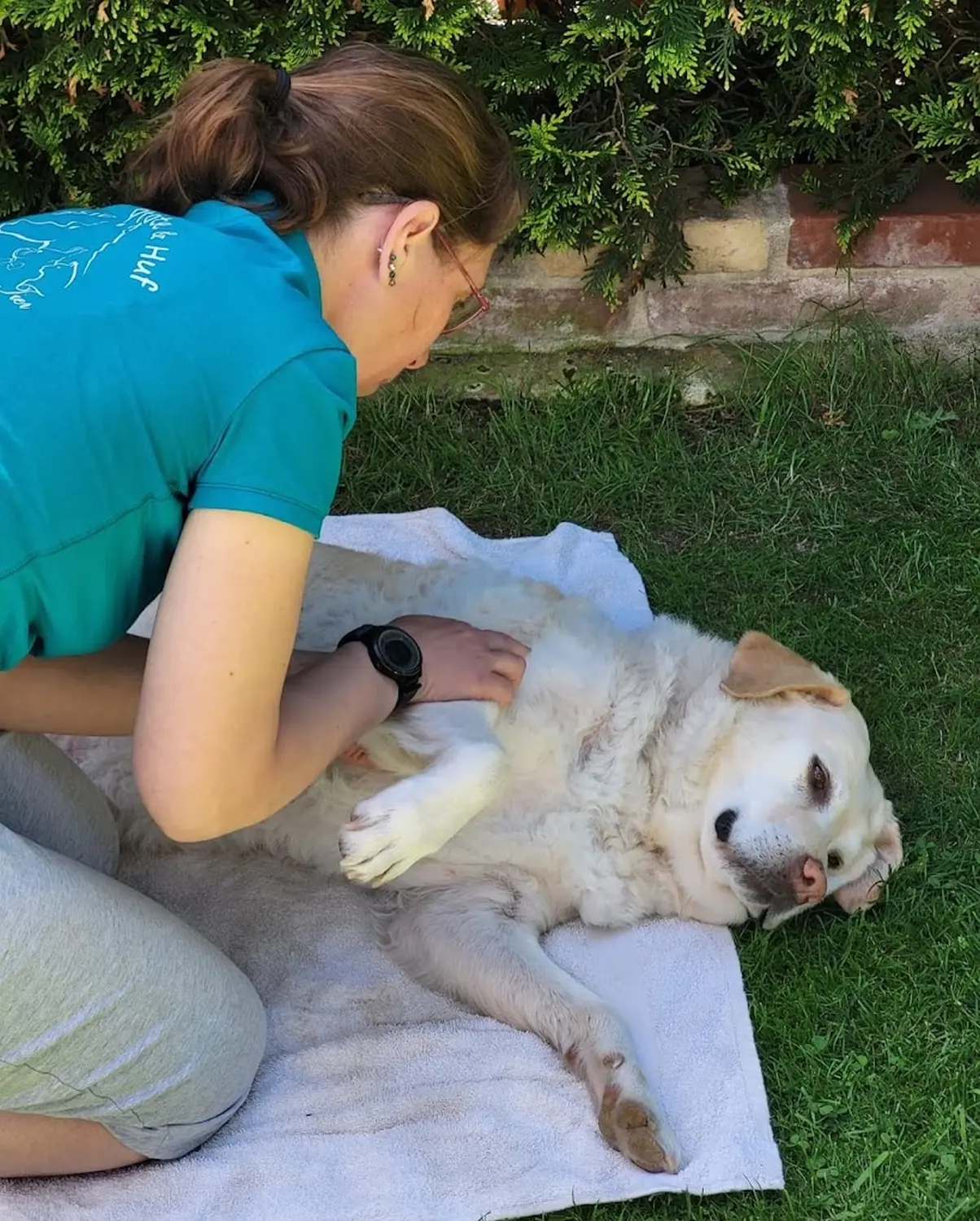 Physio von Physio Pfote und Huf | Harmonie= Wellnesstherapeutin | Nicola Schmidt