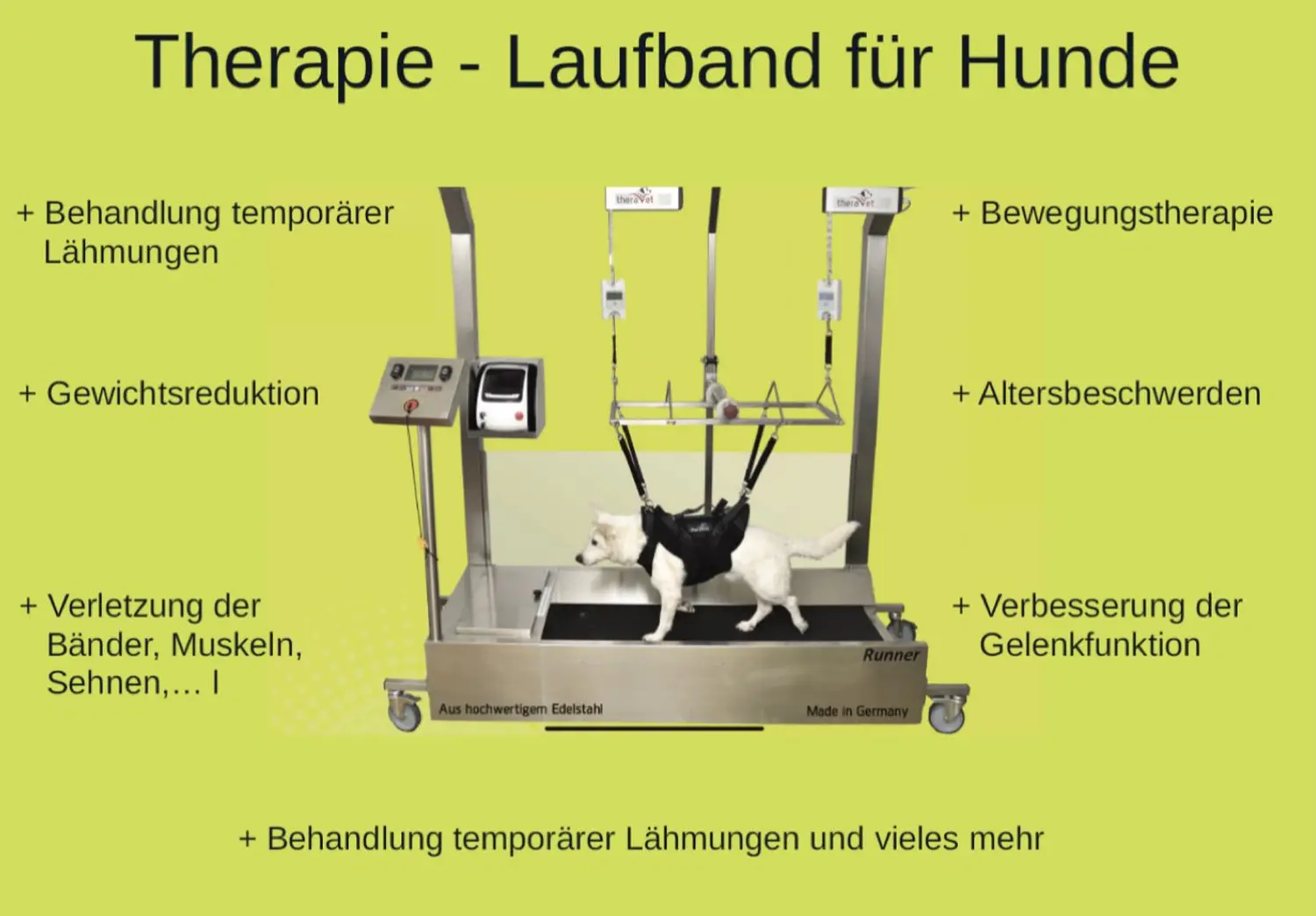 Unsere neusten Infos von Physio Pfote und Huf | Harmonie= Wellnesstherapeutin | Nicola Schmidt