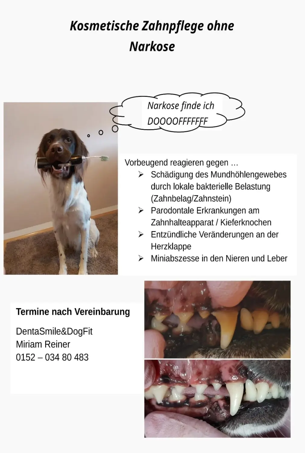 Unsere neusten Infos von Physio Pfote und Huf | Harmonie= Wellnesstherapeutin | Nicola Schmidt
