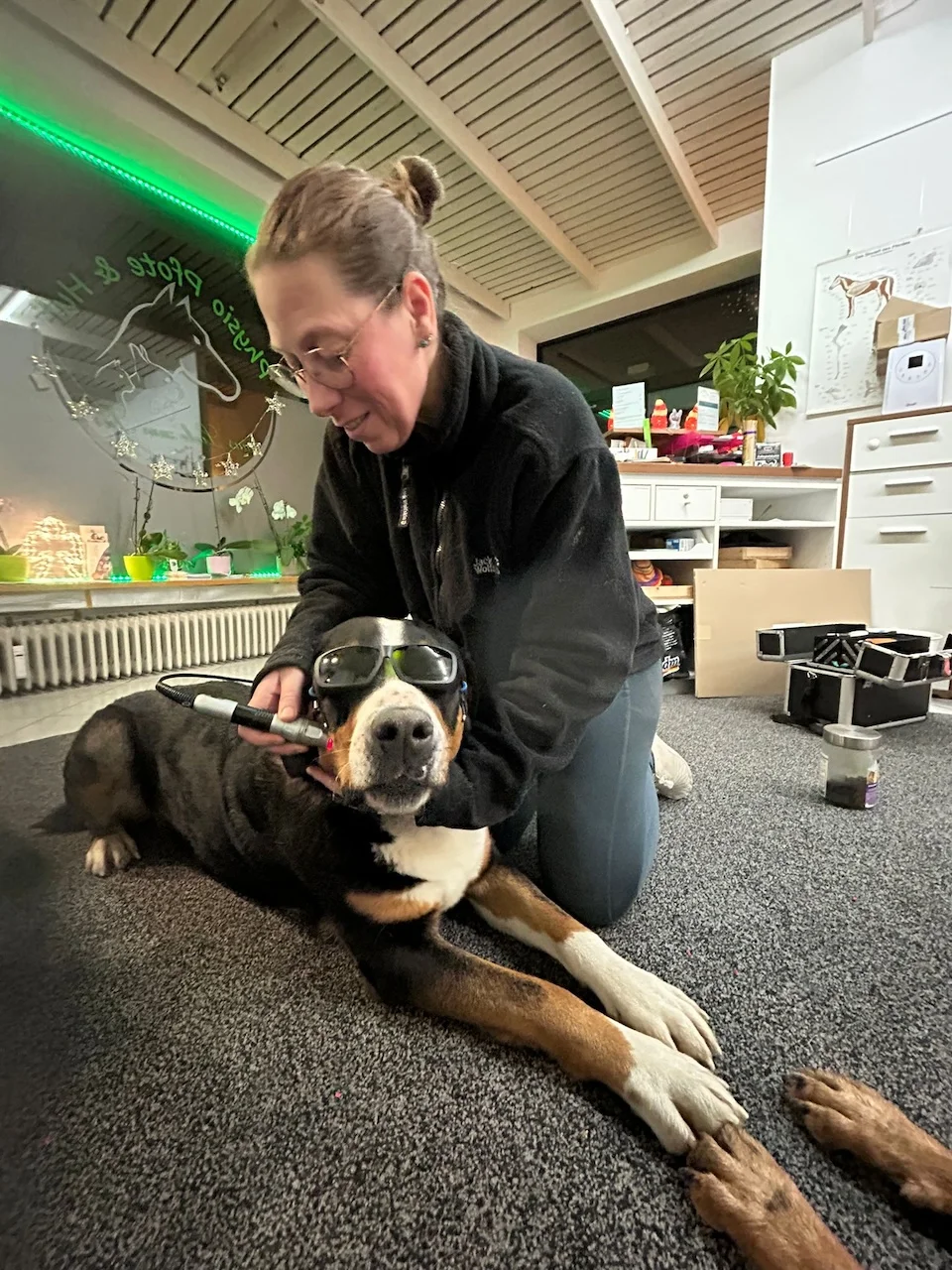 Physio von Physio Pfote und Huf | Harmonie= Wellnesstherapeutin | Nicola Schmidt