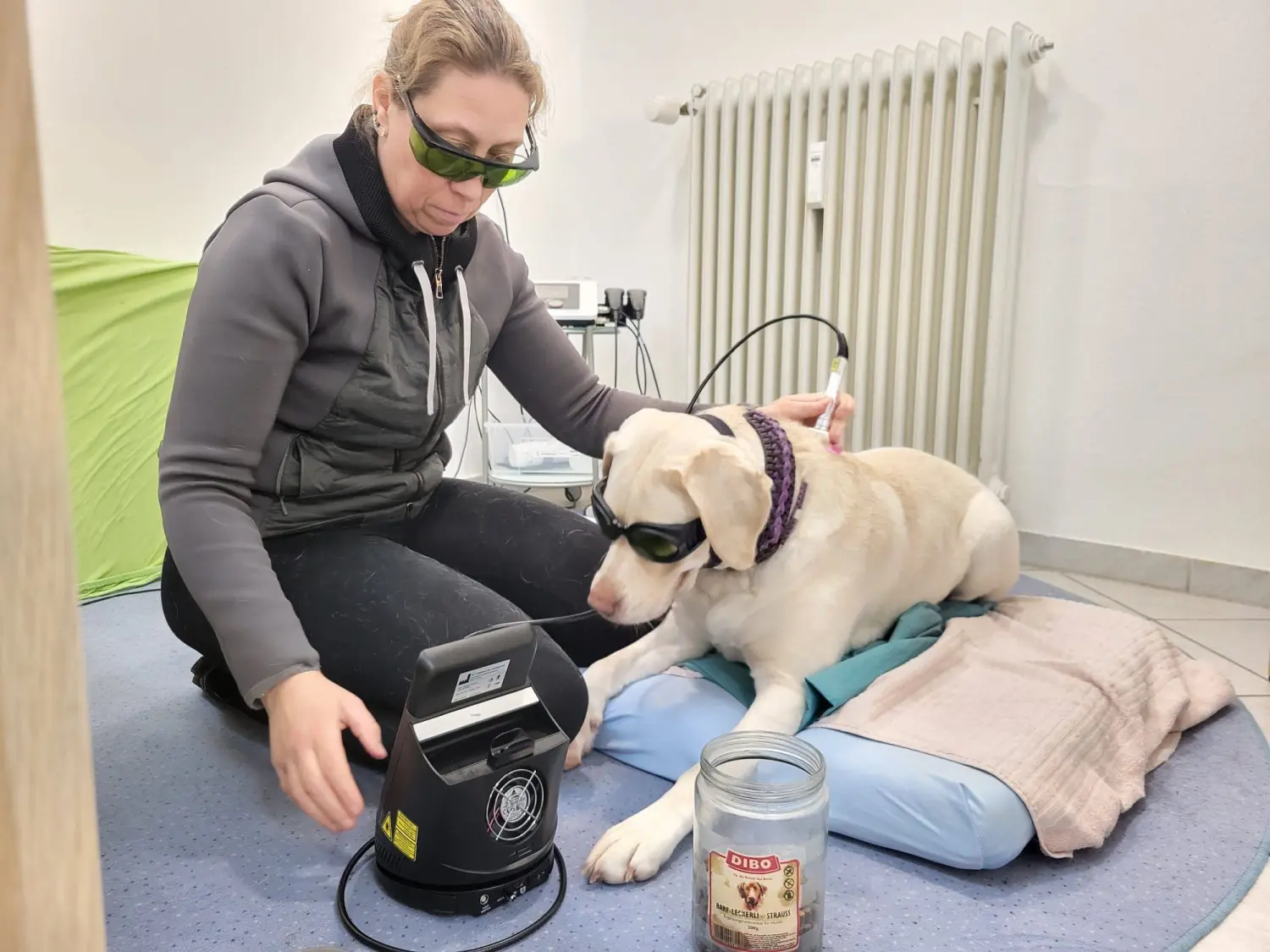 Physio von Physio Pfote und Huf | Harmonie= Wellnesstherapeutin | Nicola Schmidt