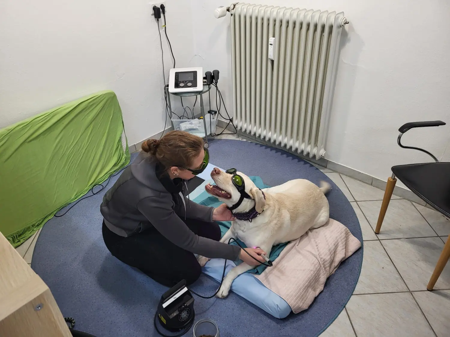 Physio von Physio Pfote und Huf | Harmonie= Wellnesstherapeutin | Nicola Schmidt