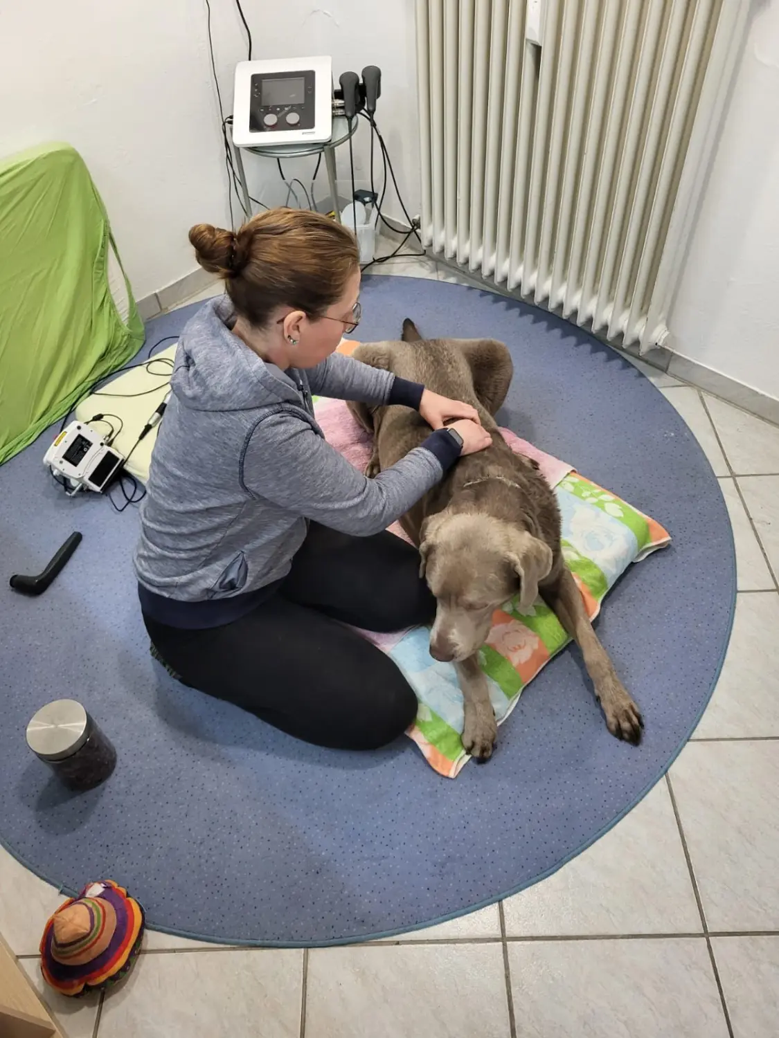 Physio von Physio Pfote und Huf | Harmonie= Wellnesstherapeutin | Nicola Schmidt
