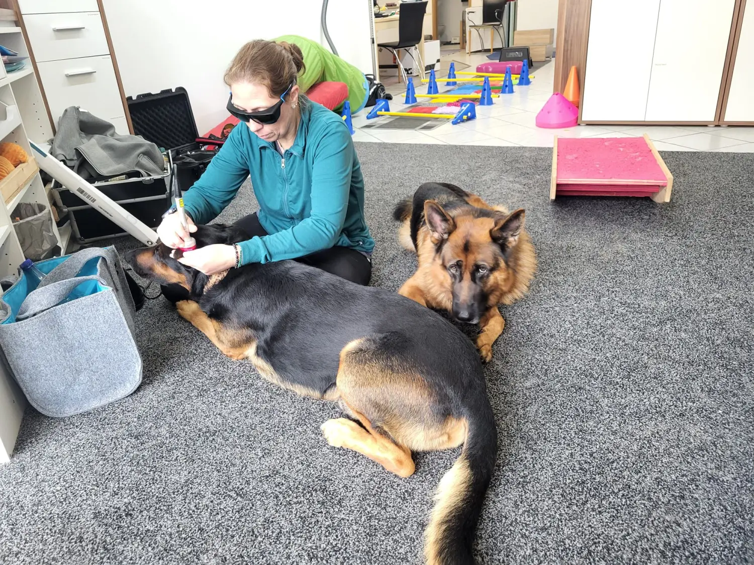 Physio von Physio Pfote und Huf | Harmonie= Wellnesstherapeutin | Nicola Schmidt